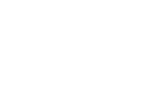 GON New logo white